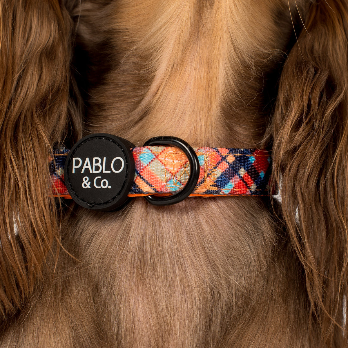 Dog Collar product image 2