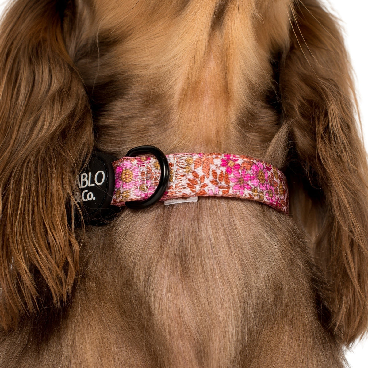 Dog Collar product image 1