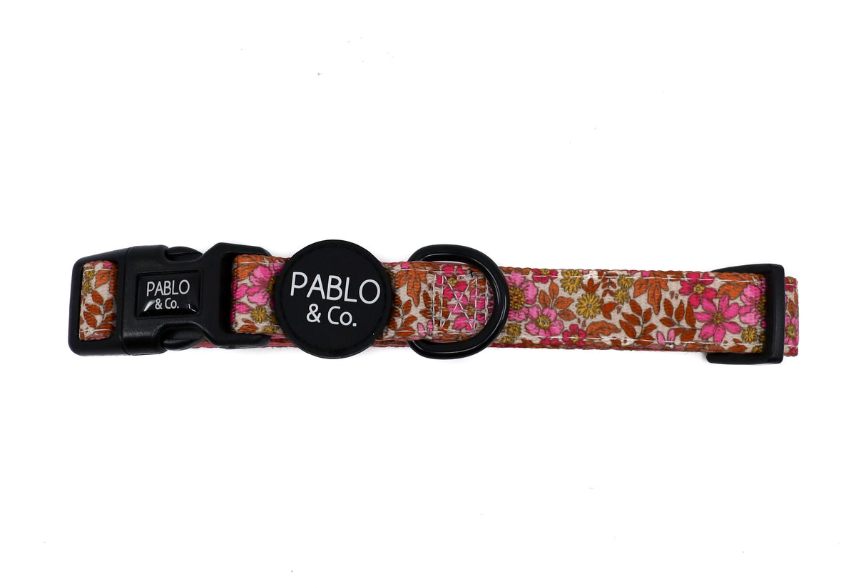 Dog Collar product image 3
