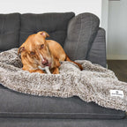 Pet Blanket product image 1