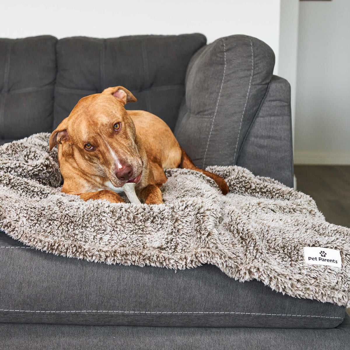 Pet Blanket product image 1