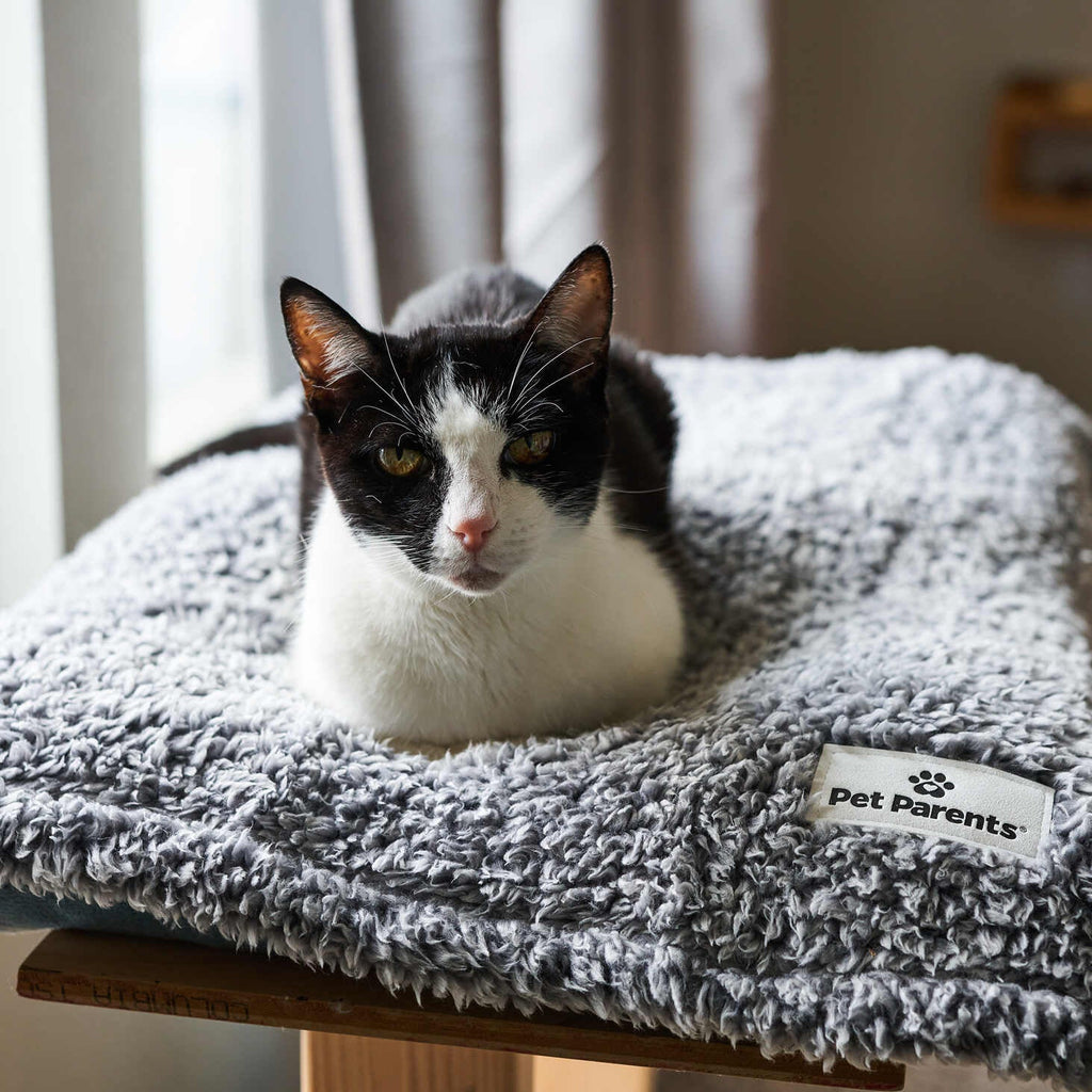 Pet Blanket product image 2