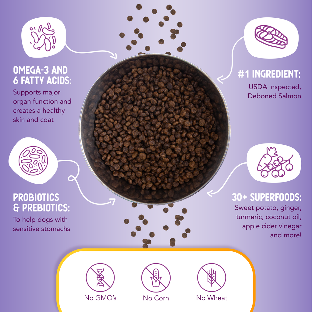 Dry Dog Food product image 5