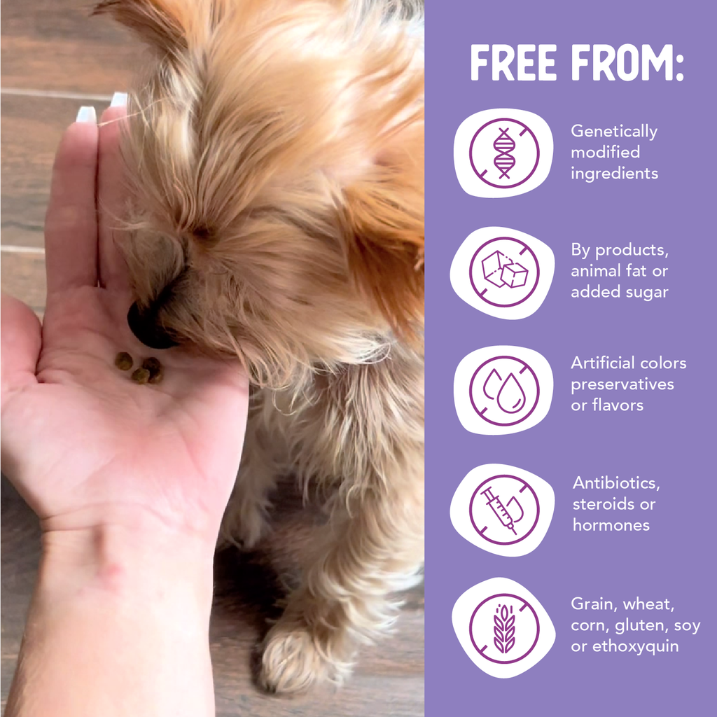 Dry Dog Food product image 6