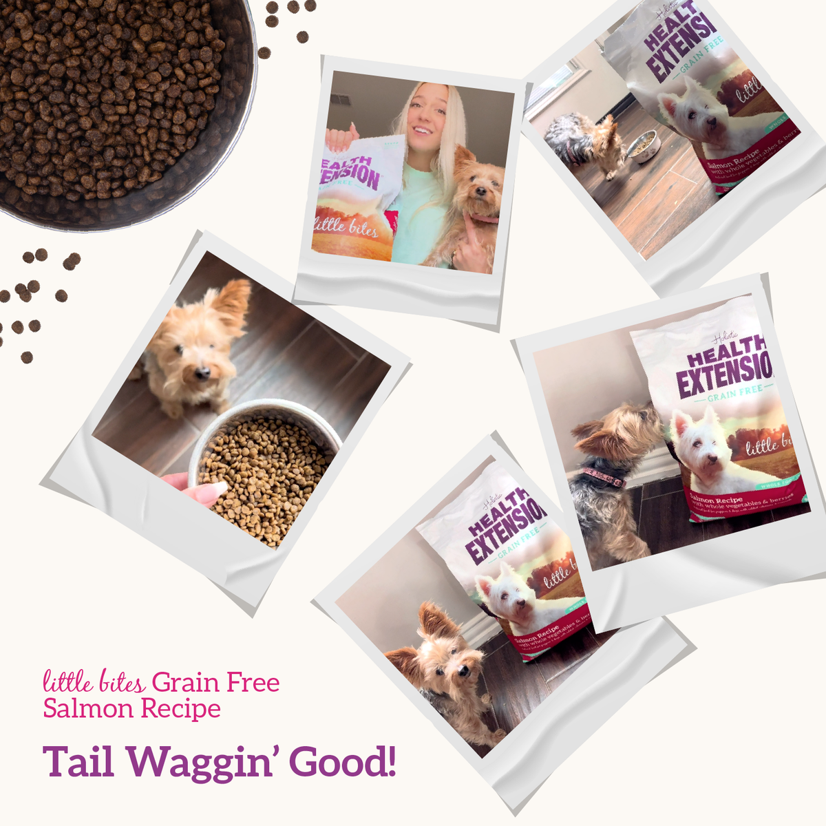 Dry Dog Food product image 8