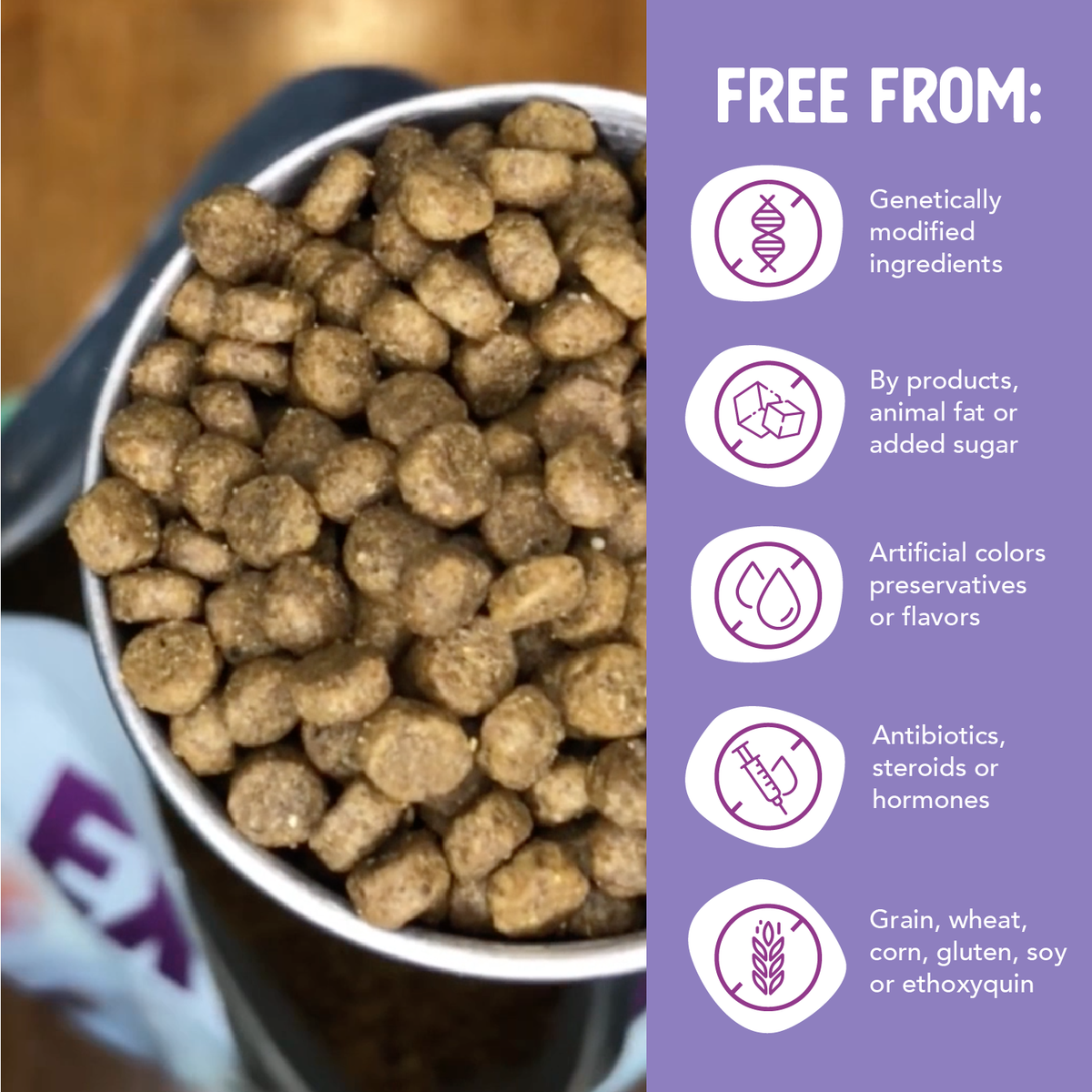 Dry Dog Food product image 6