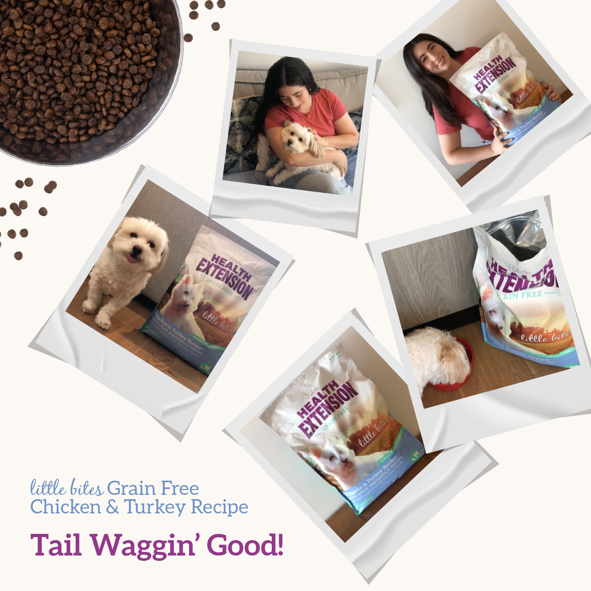 Dry Dog Food product image 8