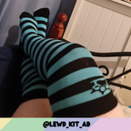 Pet Socks product image 4