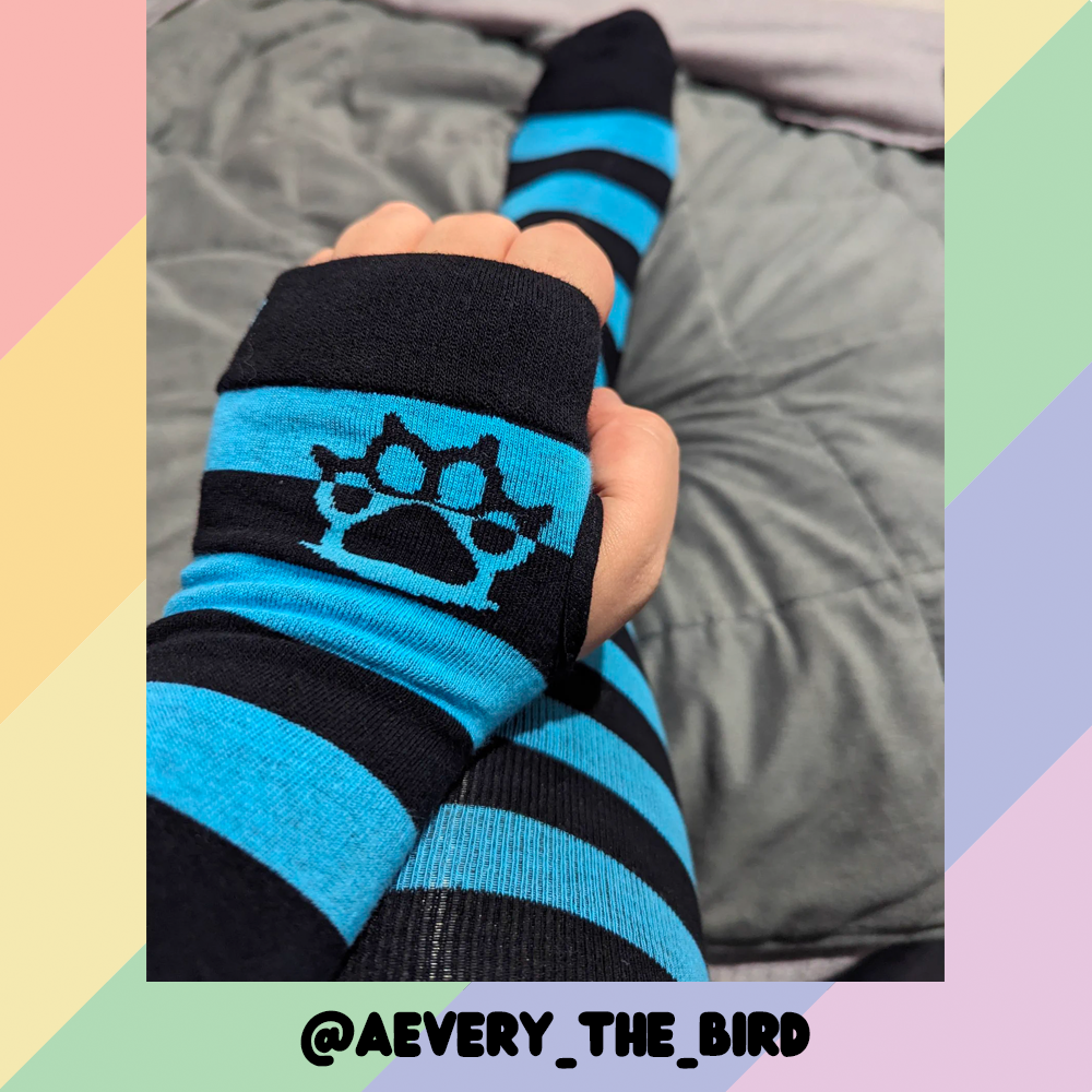 Pet Socks product image 5