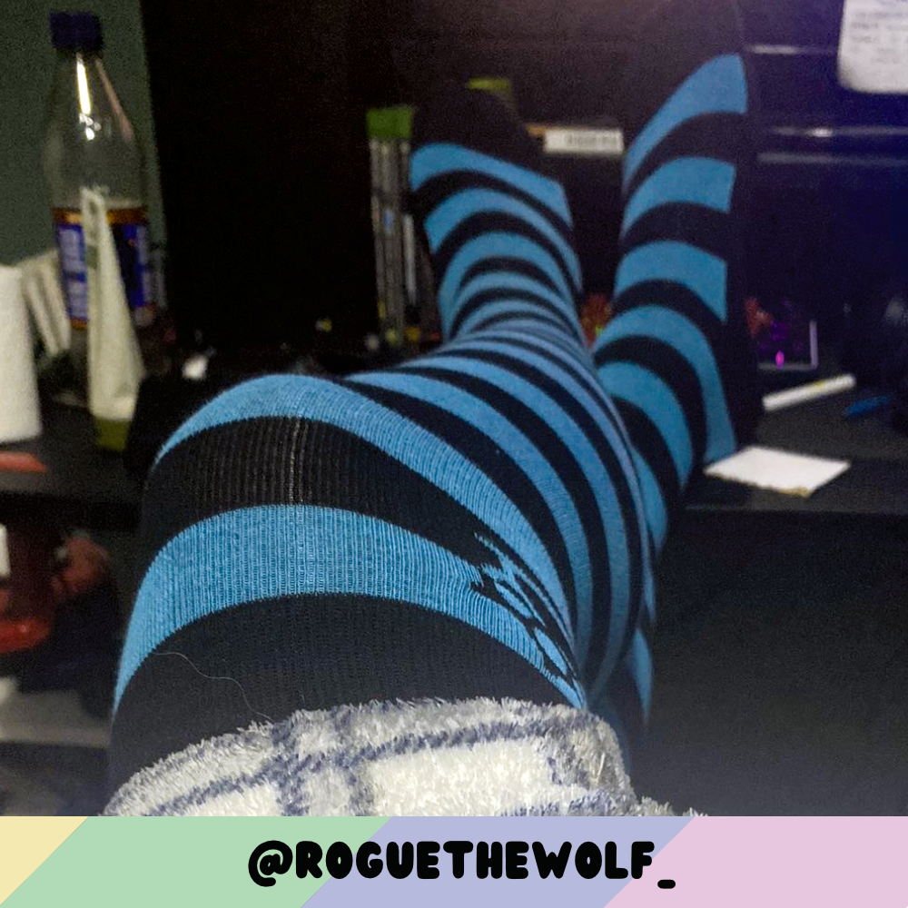 Pet Socks product image 8