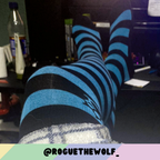 Pet Socks product image 8