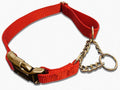 Martingale Dog Collar product image 2