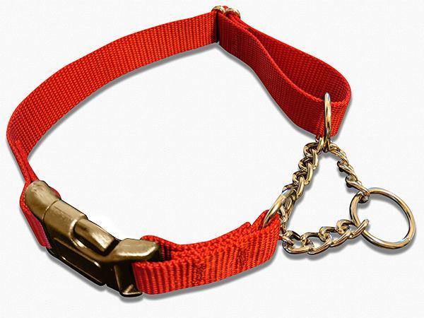 Martingale Dog Collar product image 2