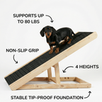 Adjustable Folding Dog Ramp product image 3