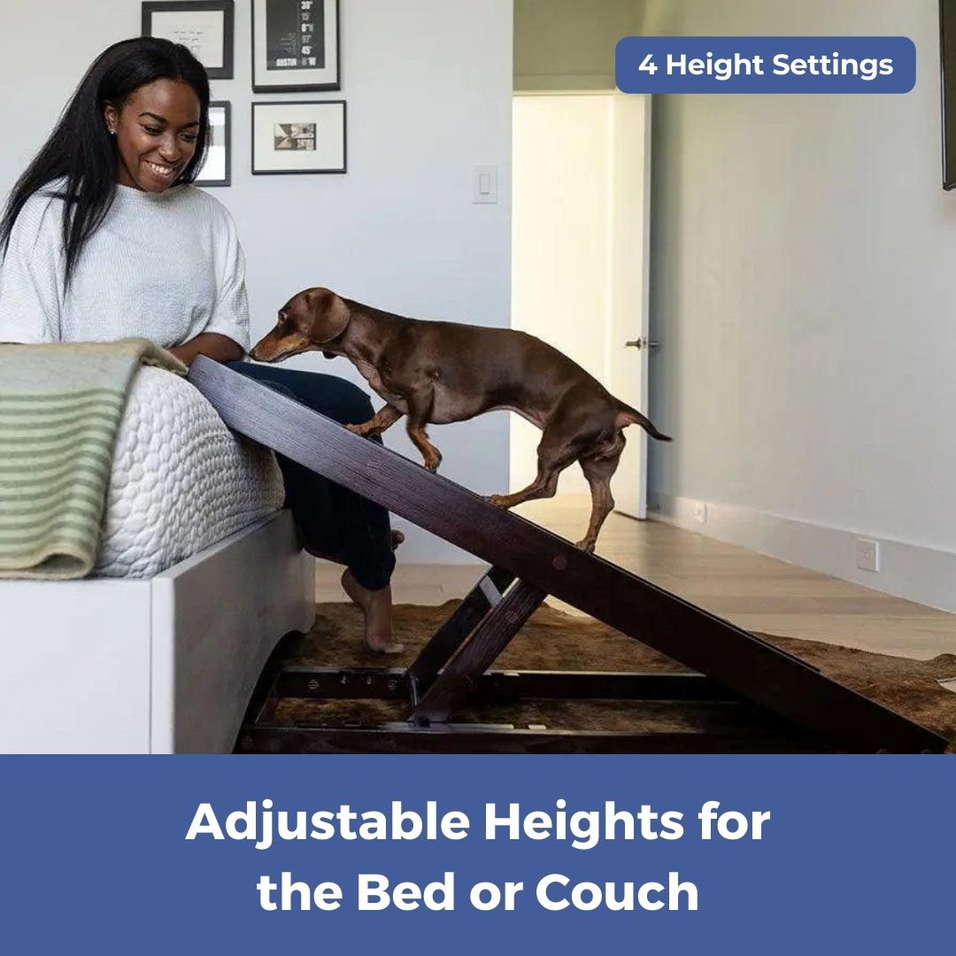 Adjustable Folding Dog Ramp product image 5