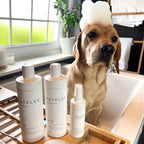 Dog Grooming Set product image 8
