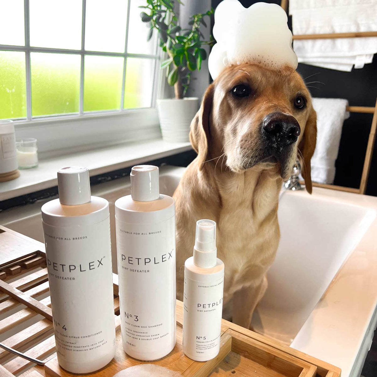Dog Grooming Set product image 8