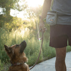 Dog Treat Pouch product image 10