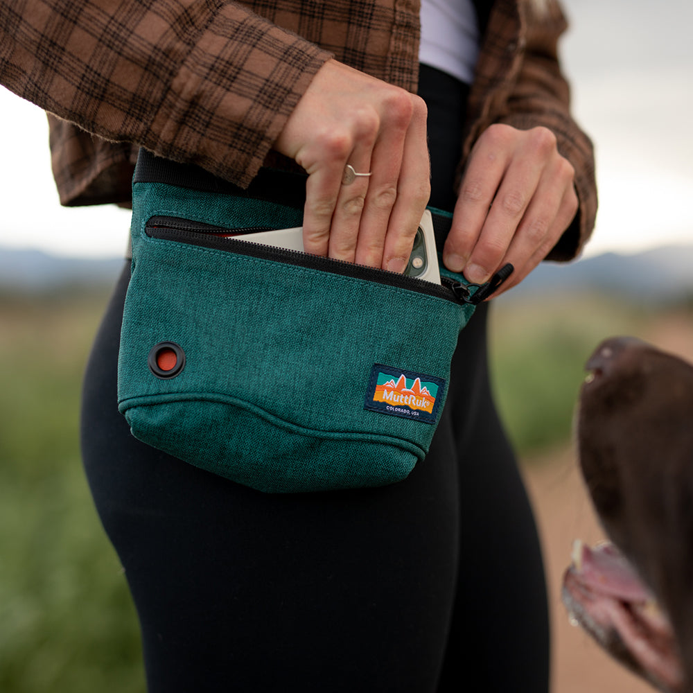 Dog Treat Pouch product image 11