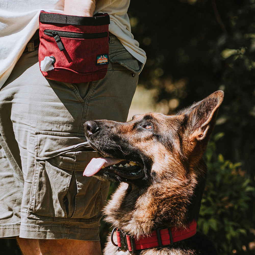 Dog Treat Pouch product image 13