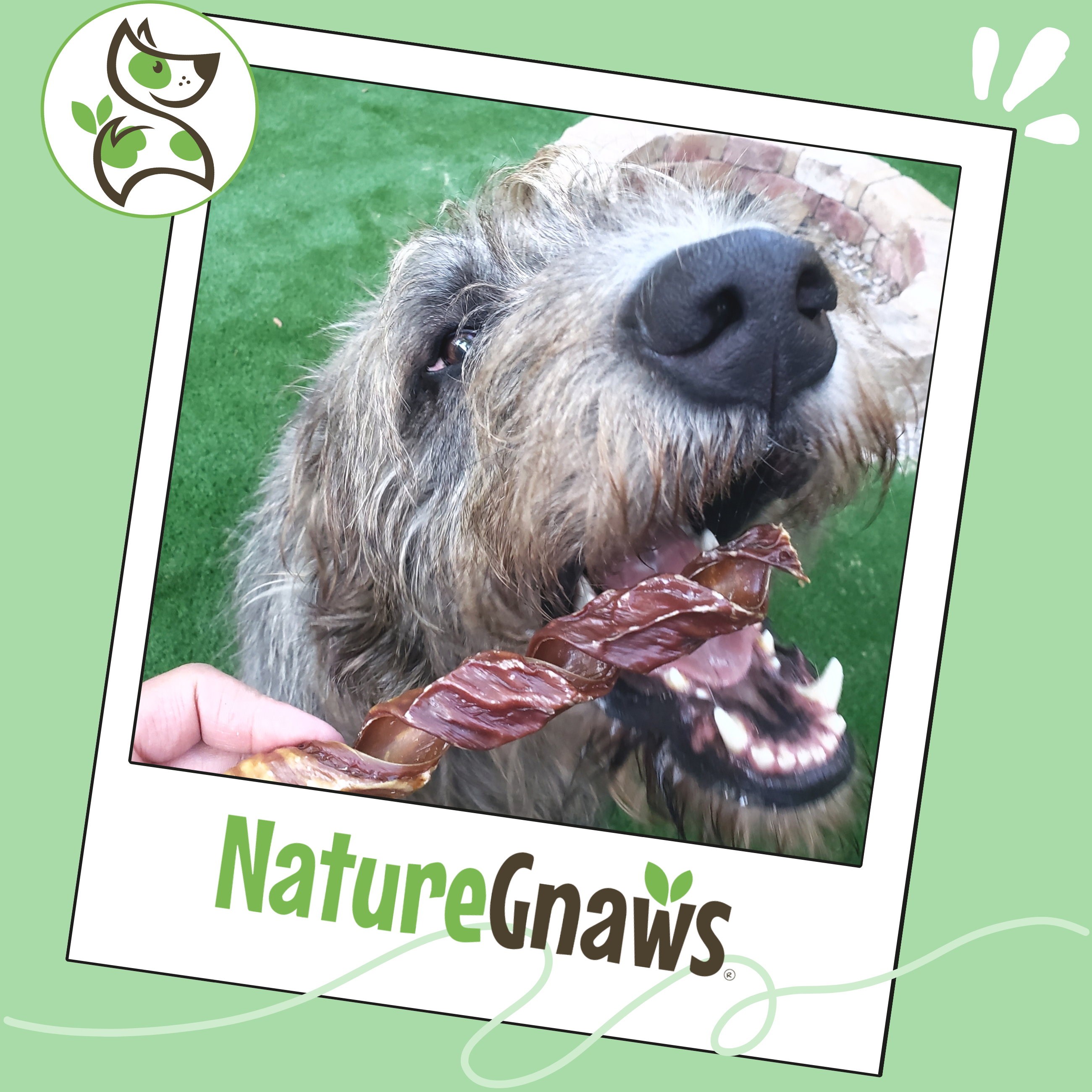 Beef Gullet Dog Chews product image 6