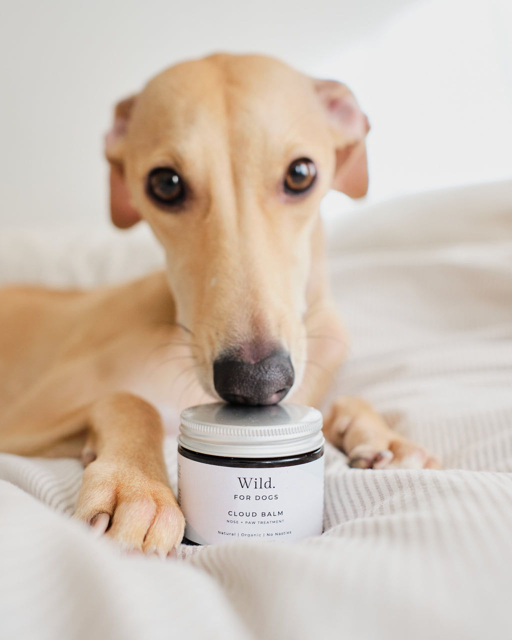 Dog Skin Balm product image 1