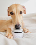 Dog Skin Balm product image 1