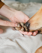 Dog Skin Balm product image 2