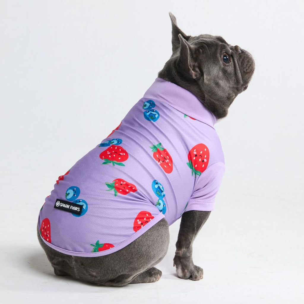 UPF 30 Printed Dog Sun Shirt product image 27