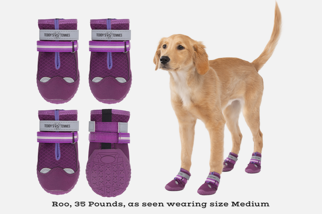 All-Season Protective Dog Shoes product image 9