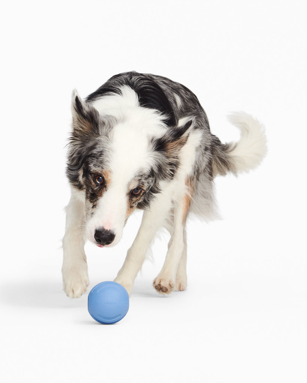 Dog Ball product image 5