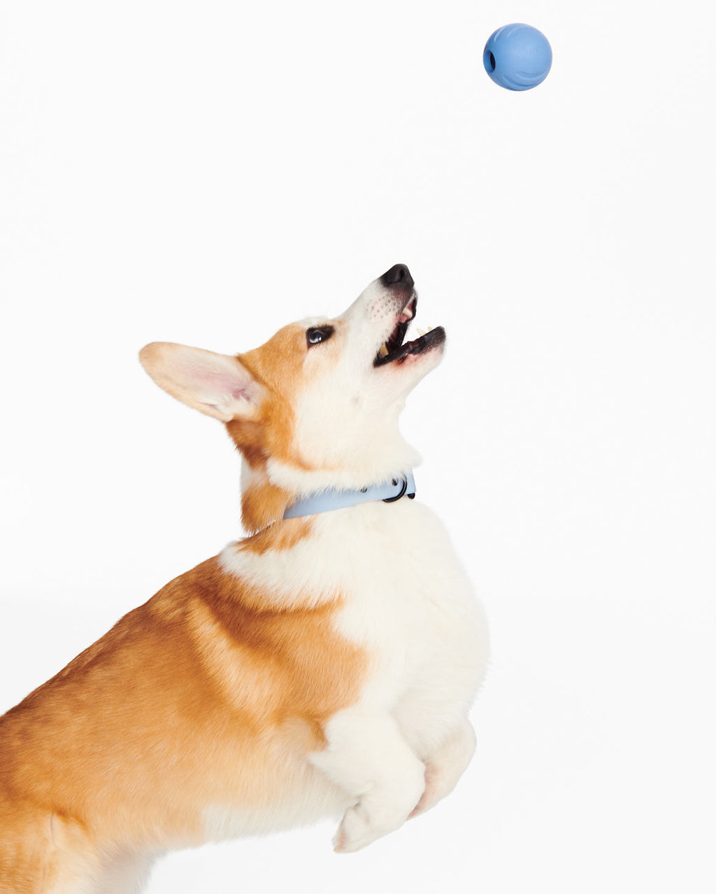 Dog Ball product image 9