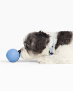 Dog Ball product image 10