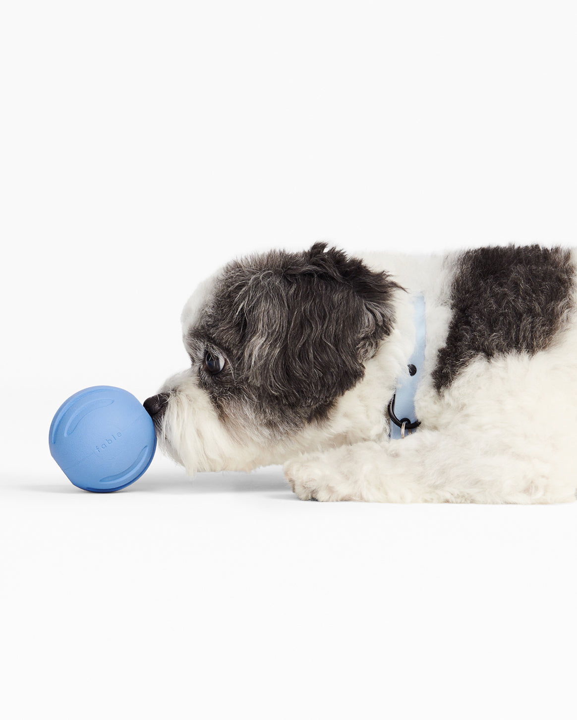 Dog Ball product image 10