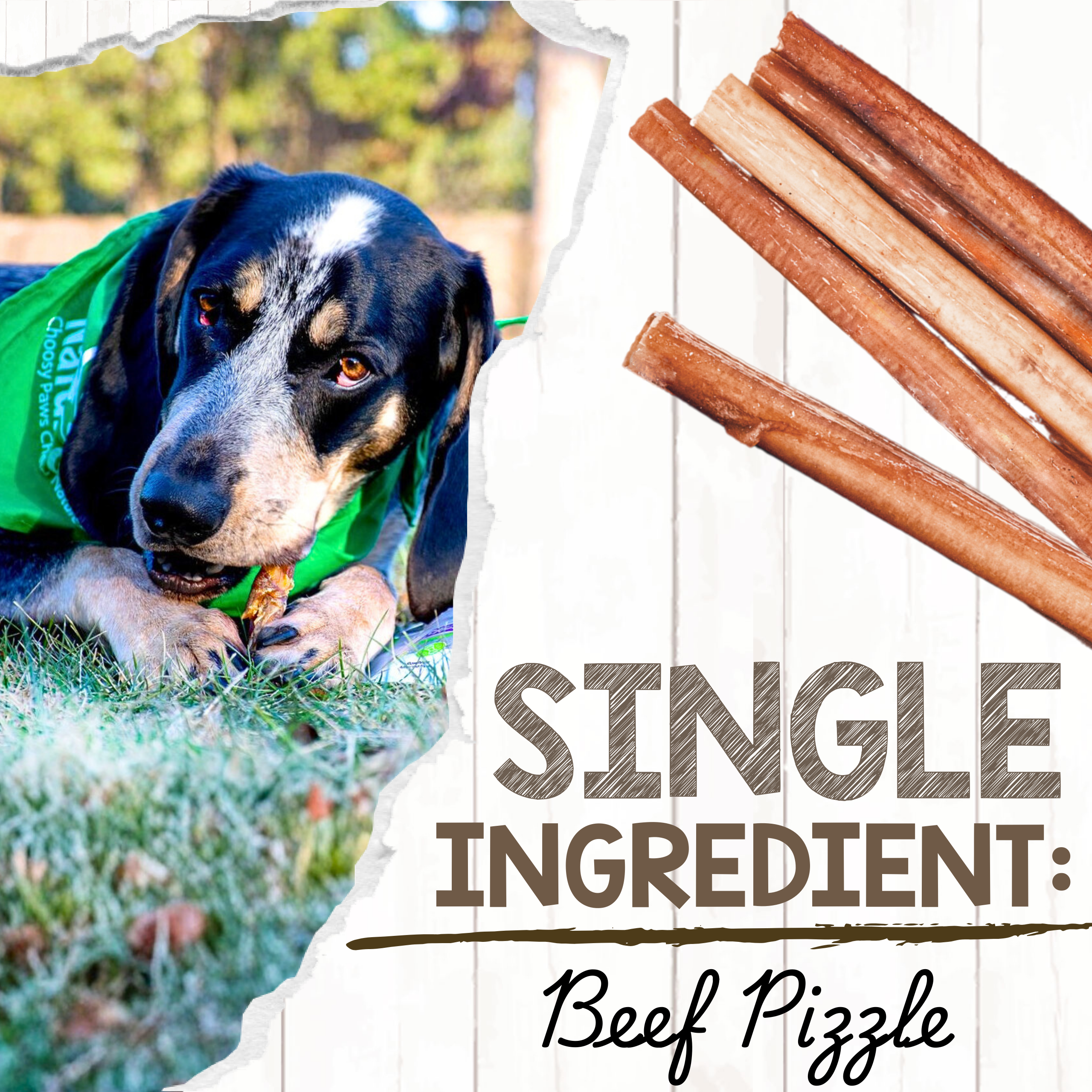 Mixed-Thickness 5–6 Inch Beef Bully Sticks product image 3