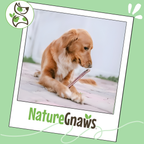 Dog Dental Chews product image 6
