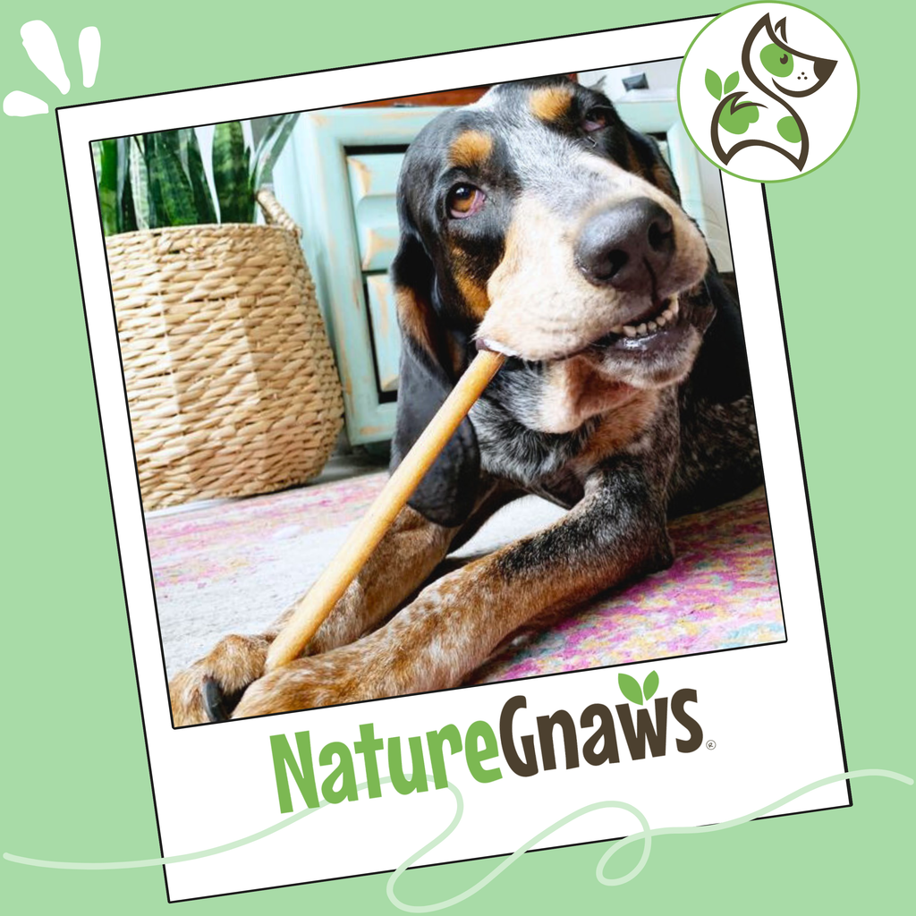 Dog Dental Chews product image 7