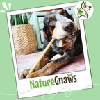 Dog Dental Chews product image 7