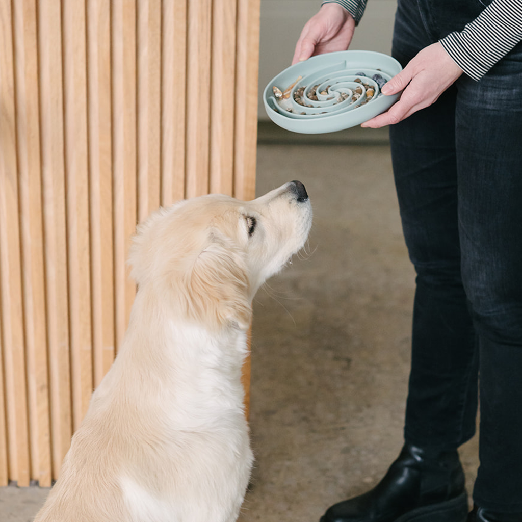 Dog Food Topper product image 2