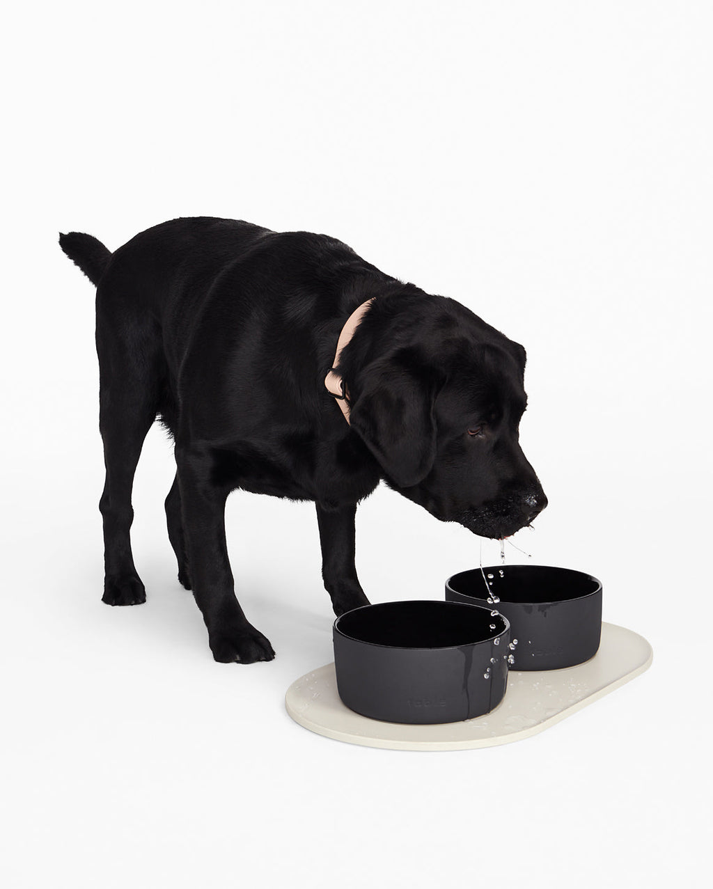 Pet Bowl Mat product image 4