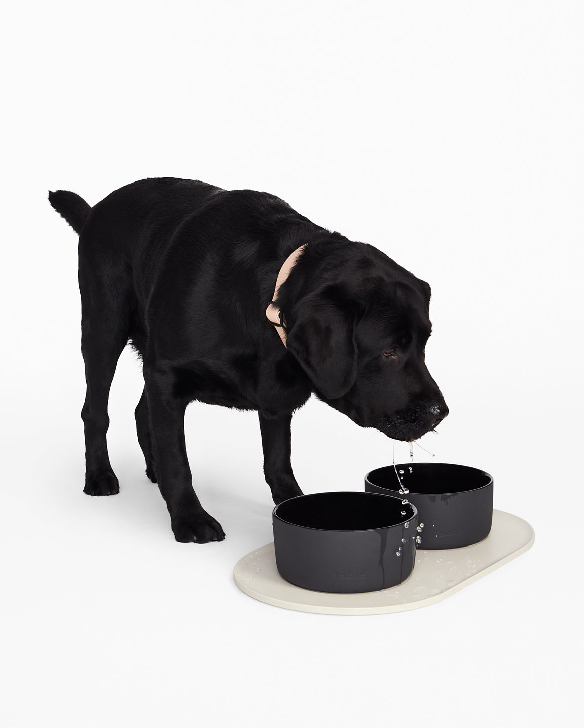 Pet Bowl Mat product image 4