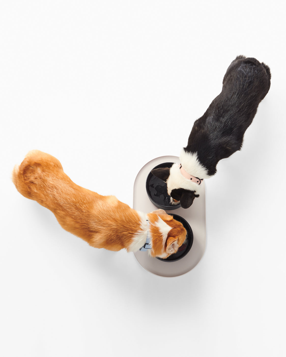 Pet Bowl Mat product image 5