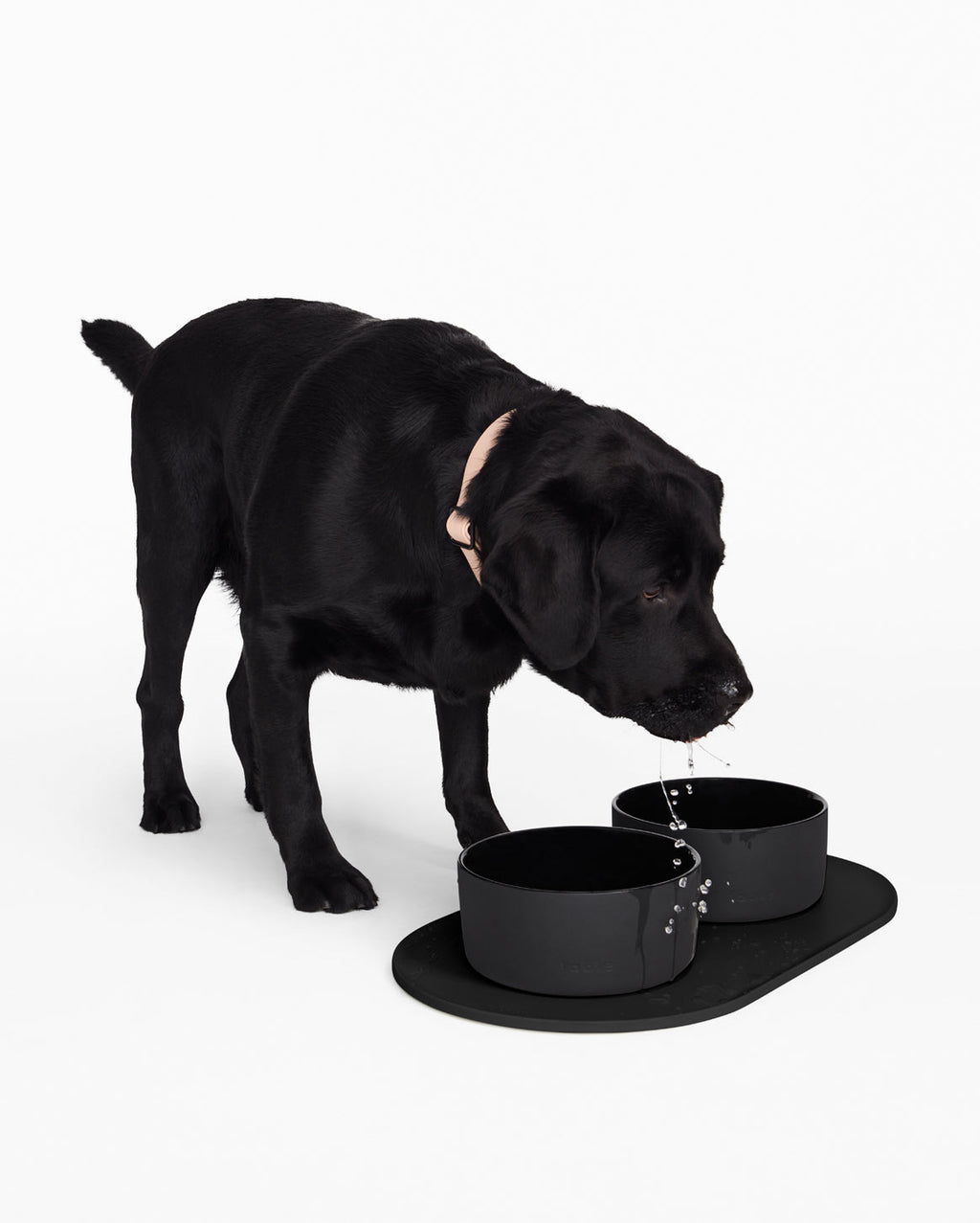 Pet Bowl Mat product image 11