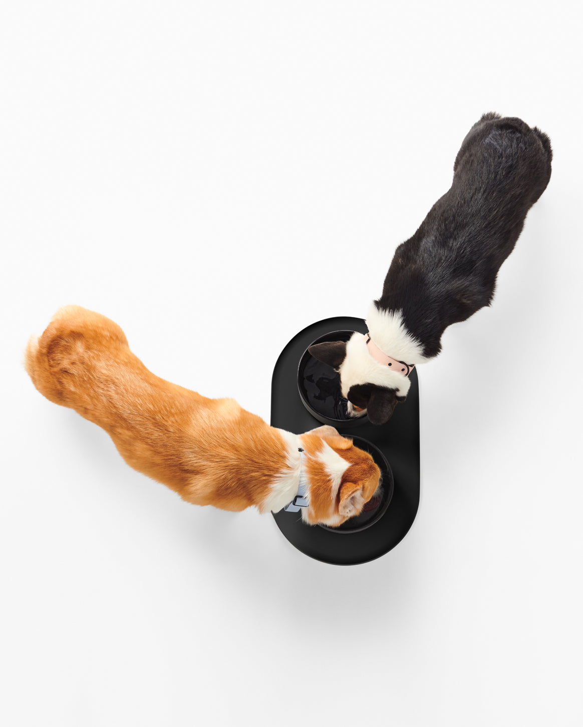 Pet Bowl Mat product image 12