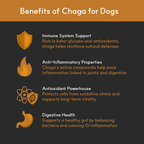 Chaga Mushroom Supplement product image 2