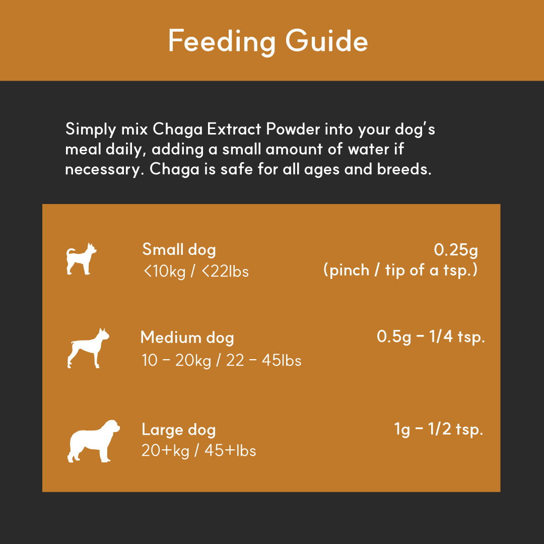 Chaga Mushroom Supplement product image 3