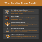 Chaga Mushroom Supplement product image 4
