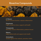 Chaga Mushroom Supplement product image 6