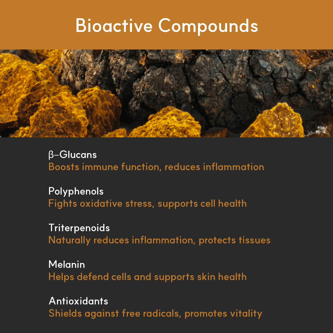 Chaga Mushroom Supplement product image 6
