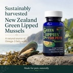 Green Lipped Mussel Oil product image 2